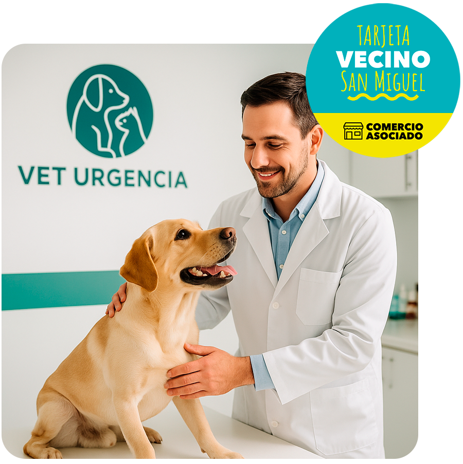 vet-urgencia vet-urgencia